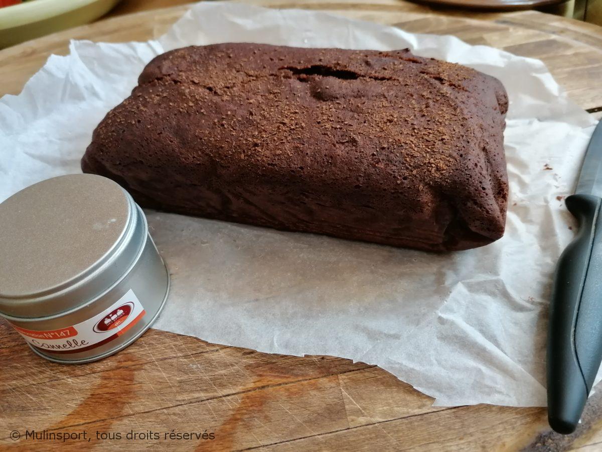 CAKE LEGER AU CACAO et CANNELLE #lowcarb #VitaliseurdeMarion